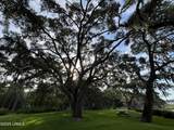 20 Garrett Lane - Photo 24