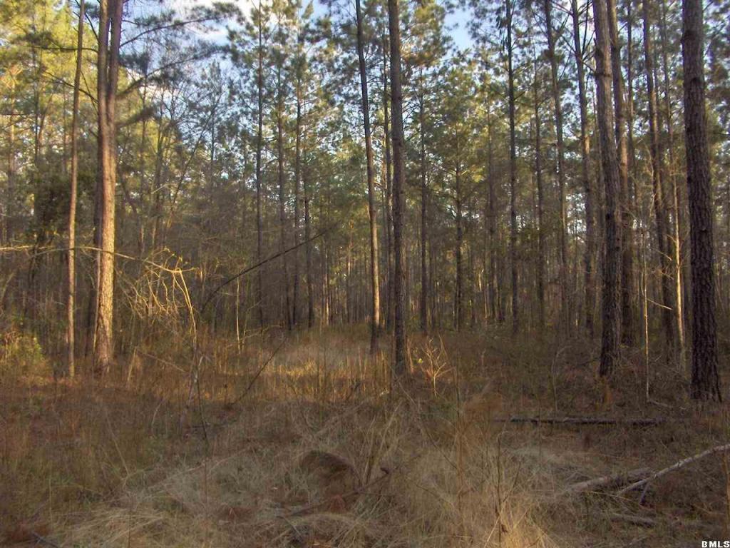00 Henderson Rd Or Crews Cemt.Rd Road - Photo 1