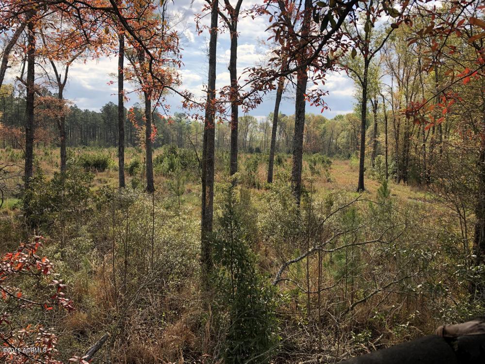 1475 Firetower Rd - Photo 1