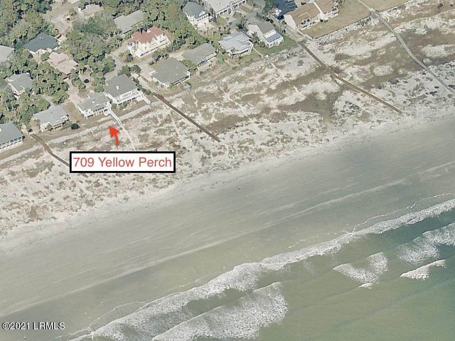 709 Yellow Perch Road - Photo 1