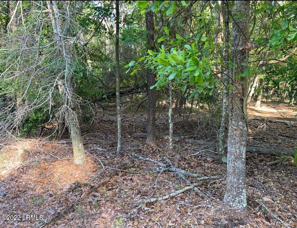 157 County Shed Road - Photo 1