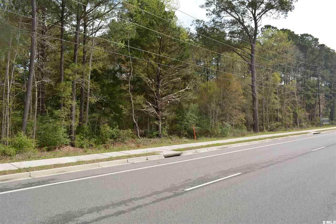 196 Savannah Highway - Photo 1