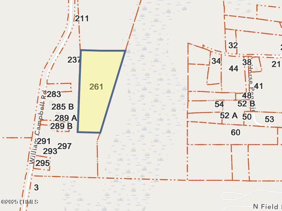 261 William A Campbell Road - Photo 1