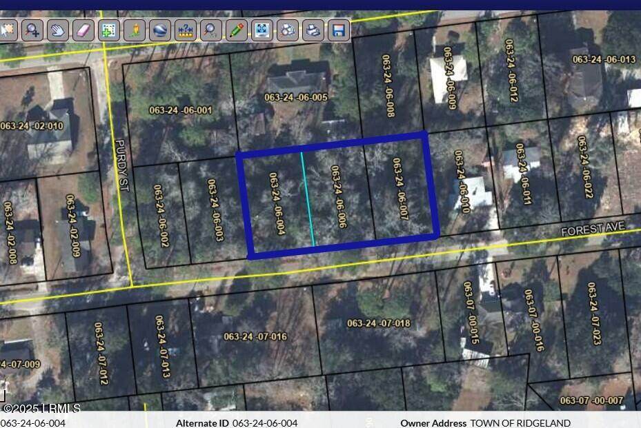 Tbd Forest Avenue - Photo 1