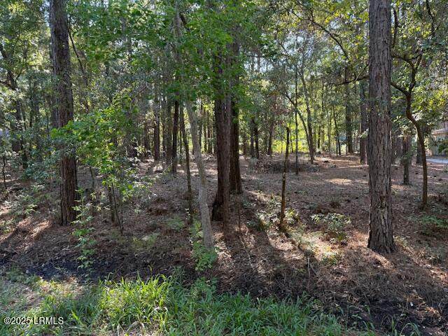77 Wade Hampton Drive - Photo 1