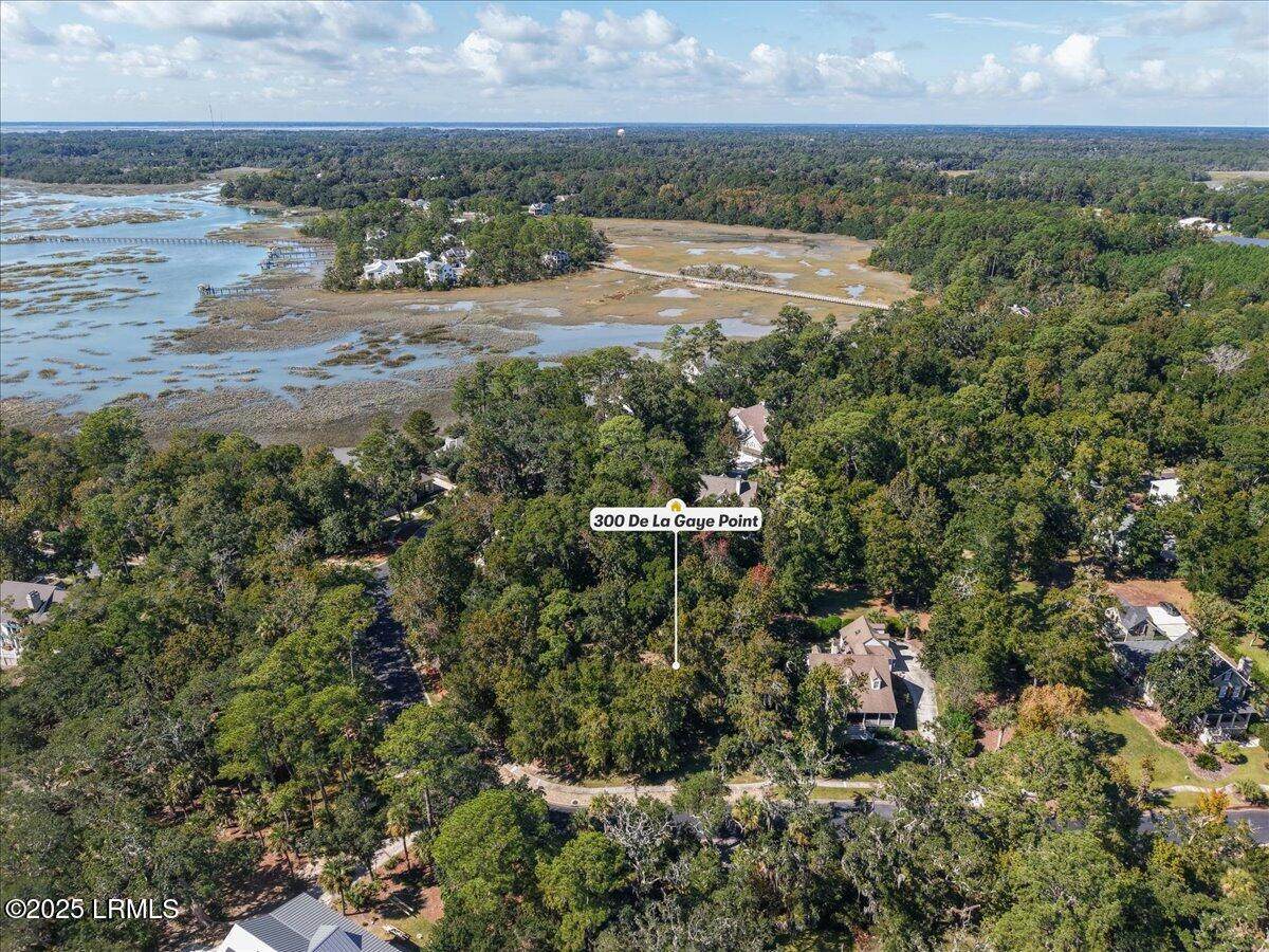 300 De La Gaye Point - Photo 1