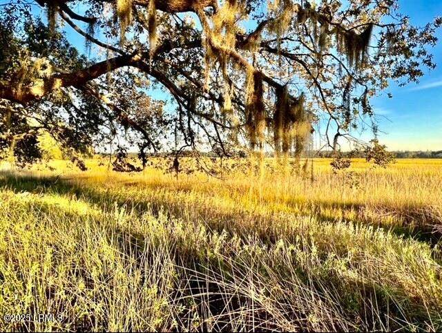 481 Paige Point Bluff - Photo 1