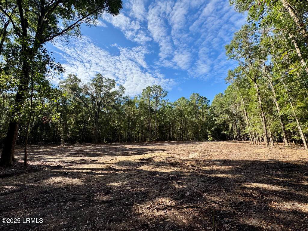 000 Lowcountry Drive - Photo 1