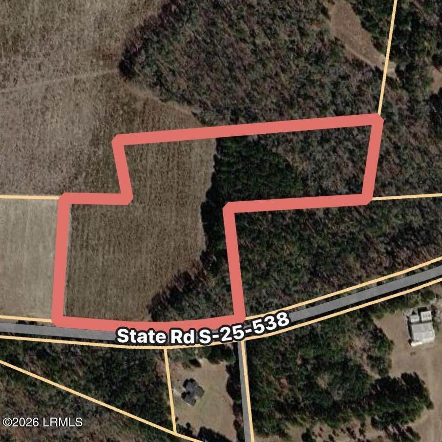 Tbd Mullings Ford Road - Photo 1