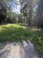 190 Paige Point Road - Photo 1