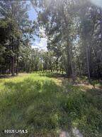 190 Paige Point Road - Photo 10