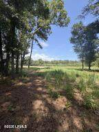 190 Paige Point Road - Photo 2