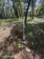 190 Paige Point Road - Photo 7