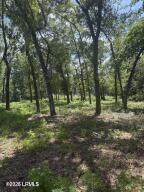 190 Paige Point Road - Photo 8