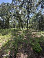 190 Paige Point Road - Photo 9