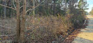 https://bt-photos.global.ssl.fastly.net/beaufortsc/orig_boomver_1_197693-2.jpg