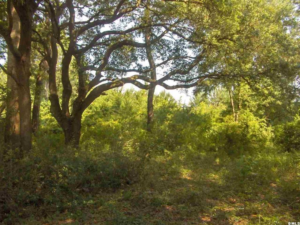 67 Youngs Circle - Photo 1 67 Youngs Circle - Photo 1