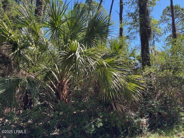 https://bt-photos.global.ssl.fastly.net/beaufortsc/orig_boomver_2_191806-2.jpg
