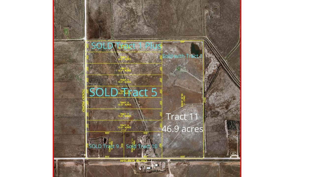 0000 11 Wilber Rd - Photo 1
