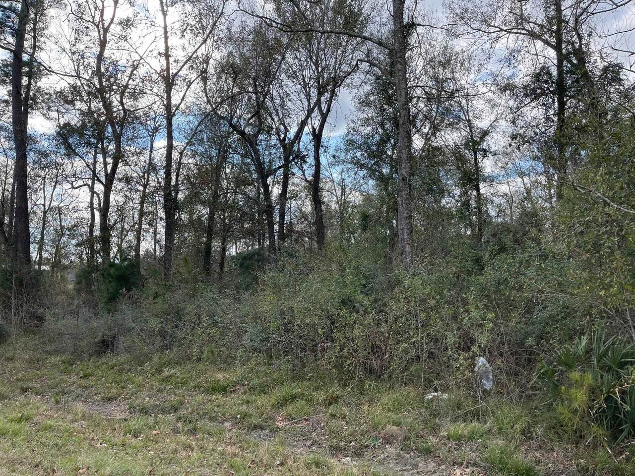 0000 Hwy 87 N - Photo 1