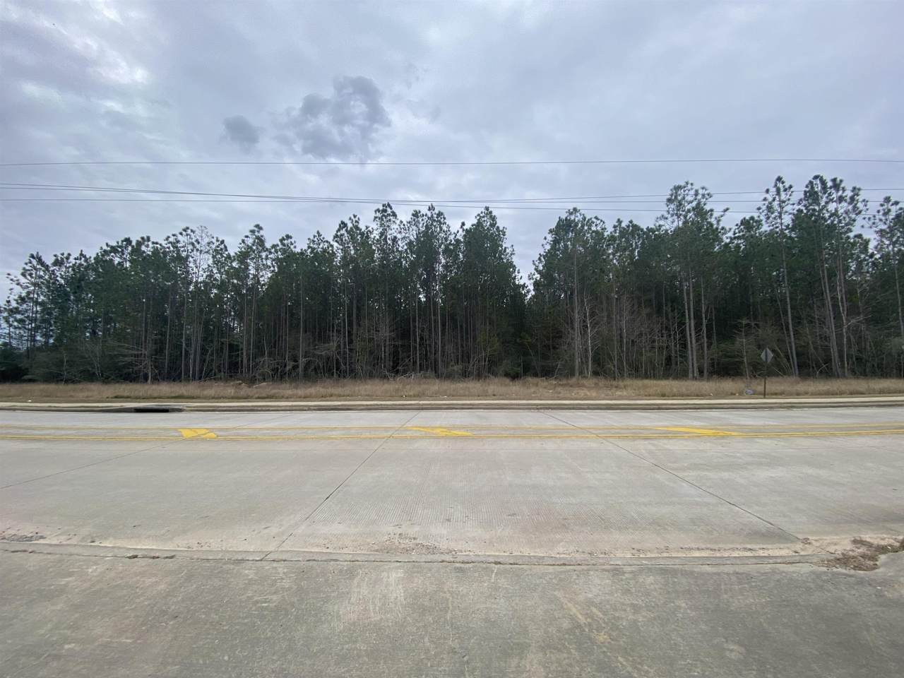 000 Forest Road - Photo 1