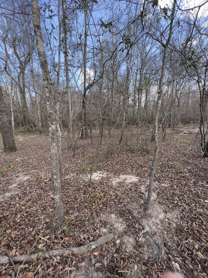 0000 Bunn's Bluff - Photo 1