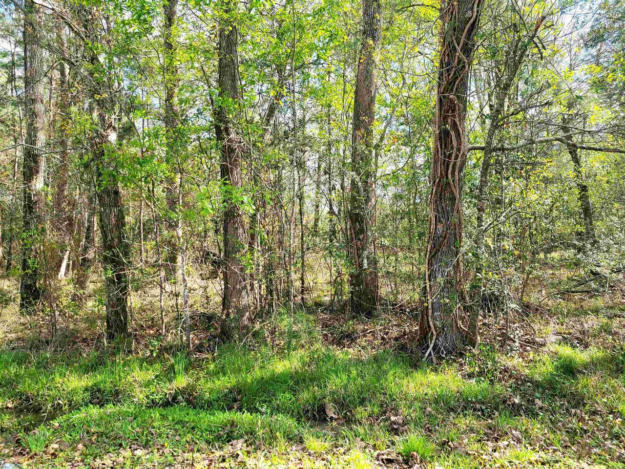 5041 Warren - Photo 1
