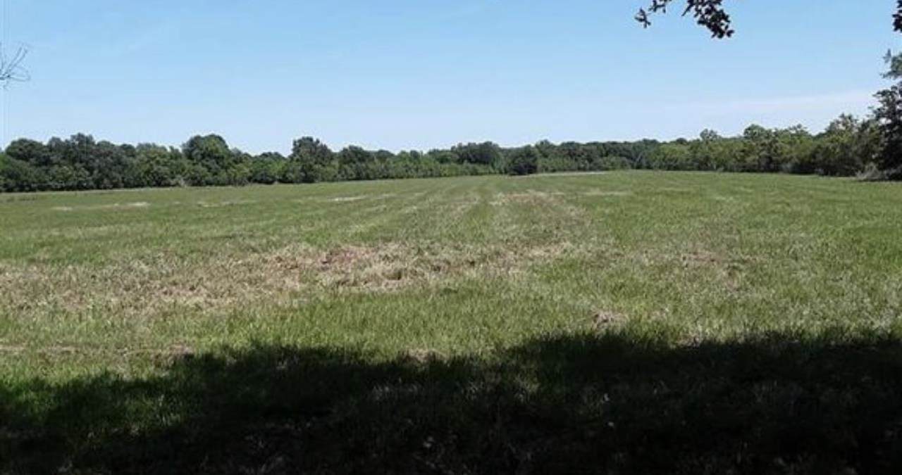 30804 Old Sour Lake Rd - Photo 1
