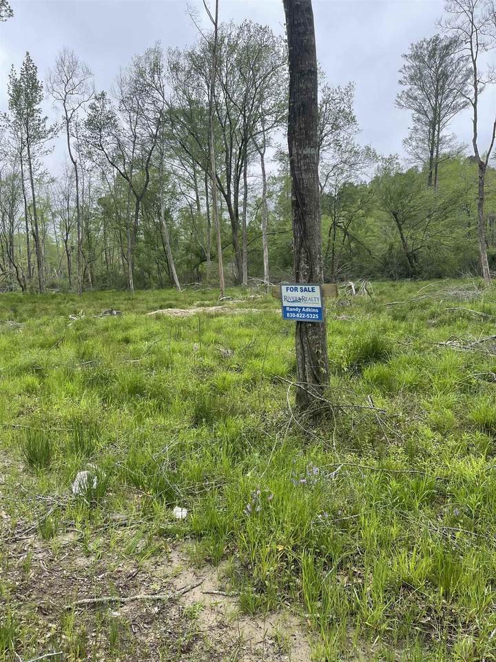 TBD Fm 2799 - Photo 1