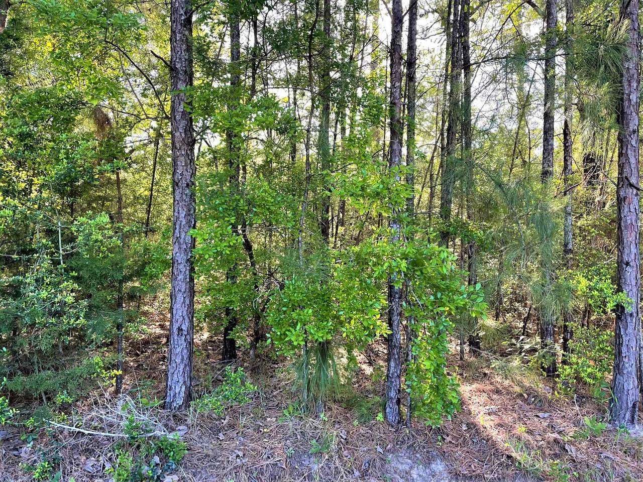 TBD County Road 336 - Photo 1