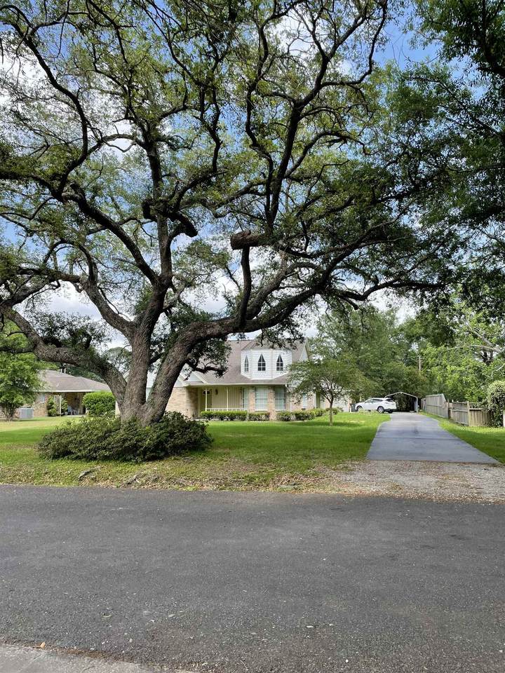 196 Lafitte - Photo 1