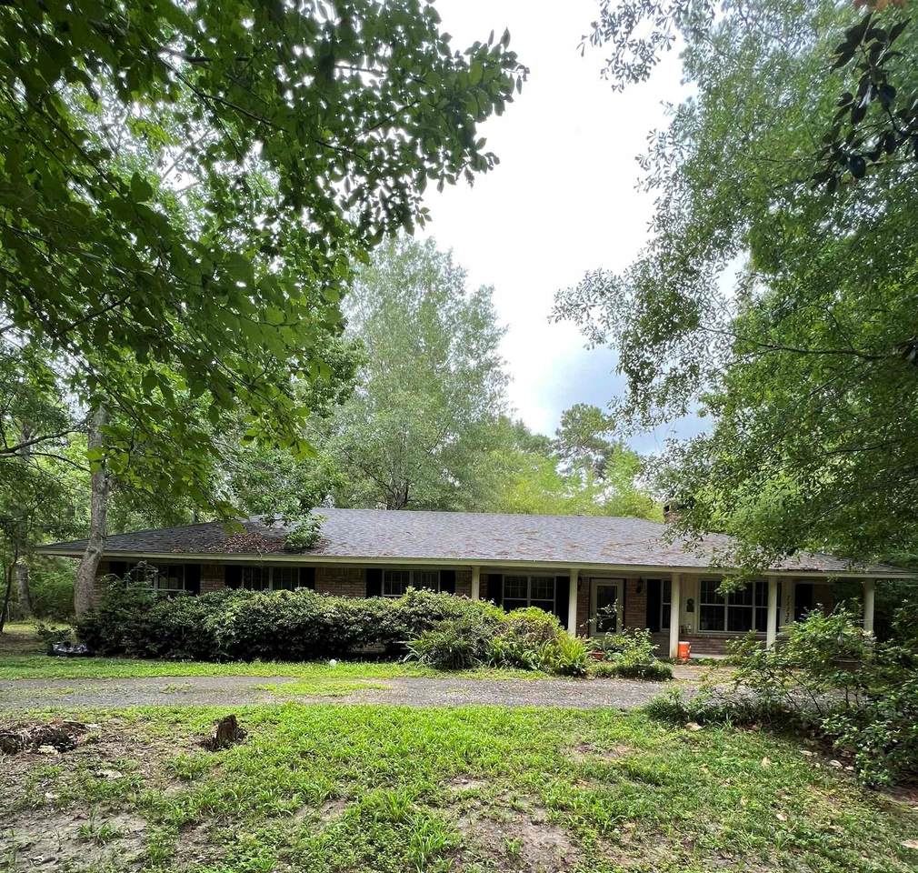 11136 Timber Ridge - Photo 1