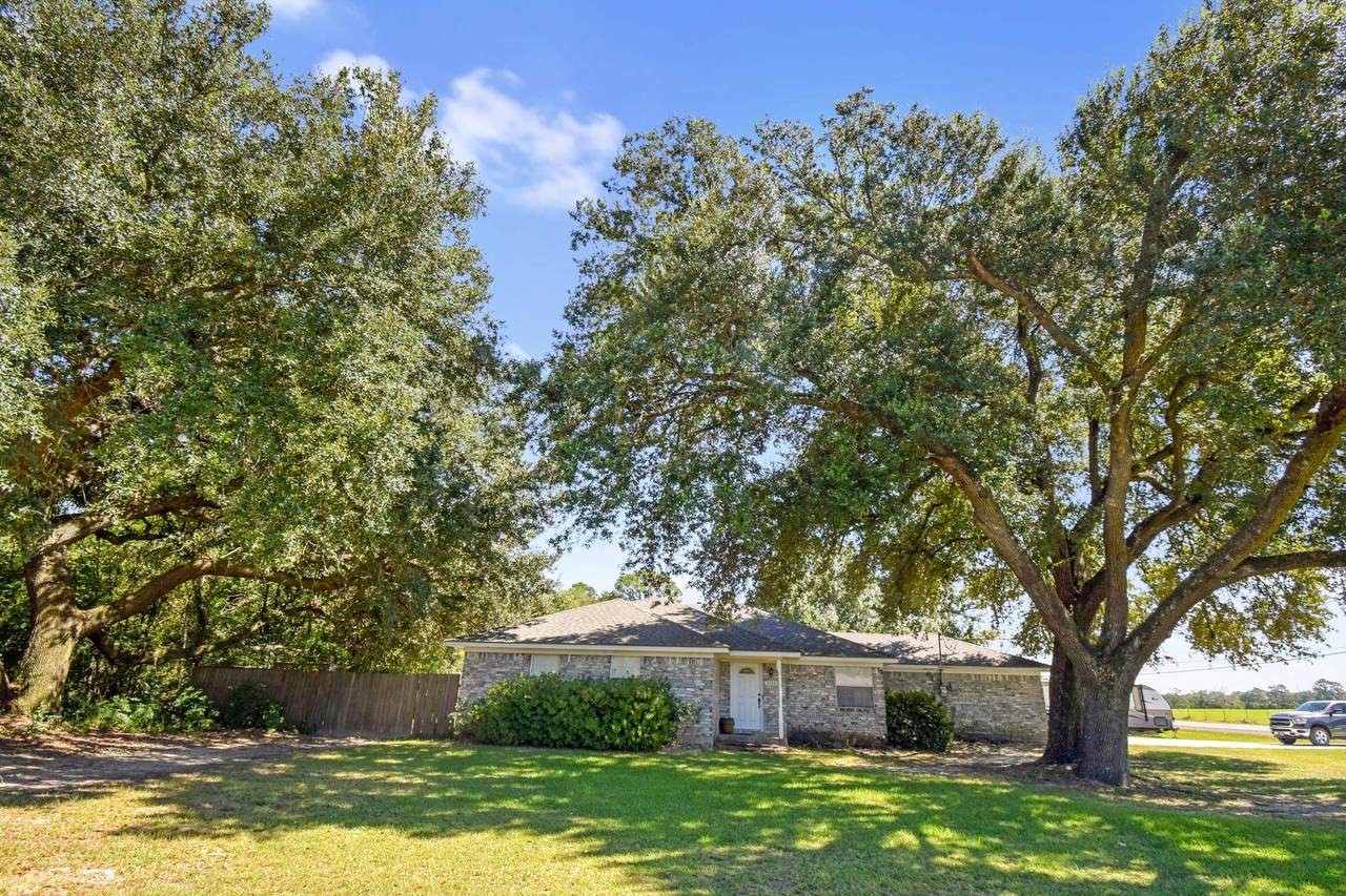 2516 Pine Park - Photo 1