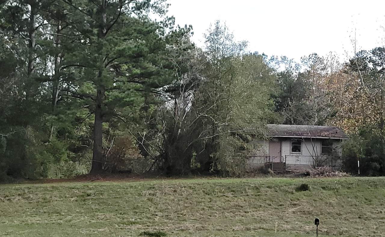 TBD Hwy 87 - Photo 1