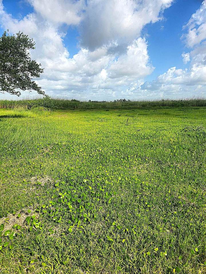 5625 Buford St - Photo 1