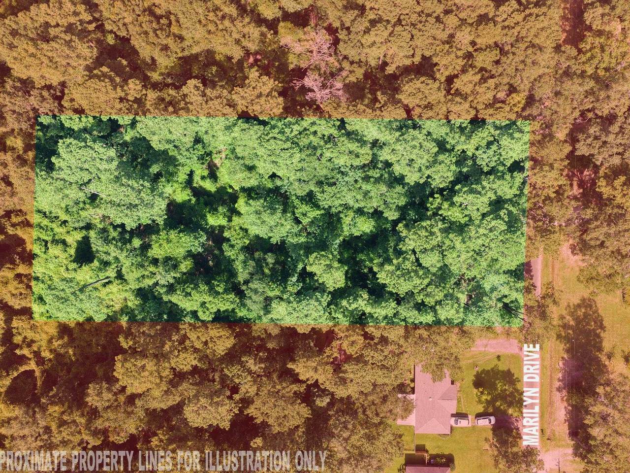 129 Marilyn Street - Photo 1