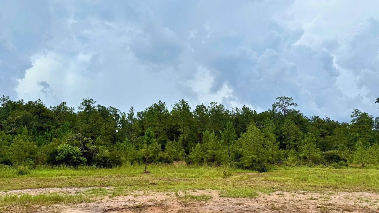 13255 Blackberry Dr - Photo 1