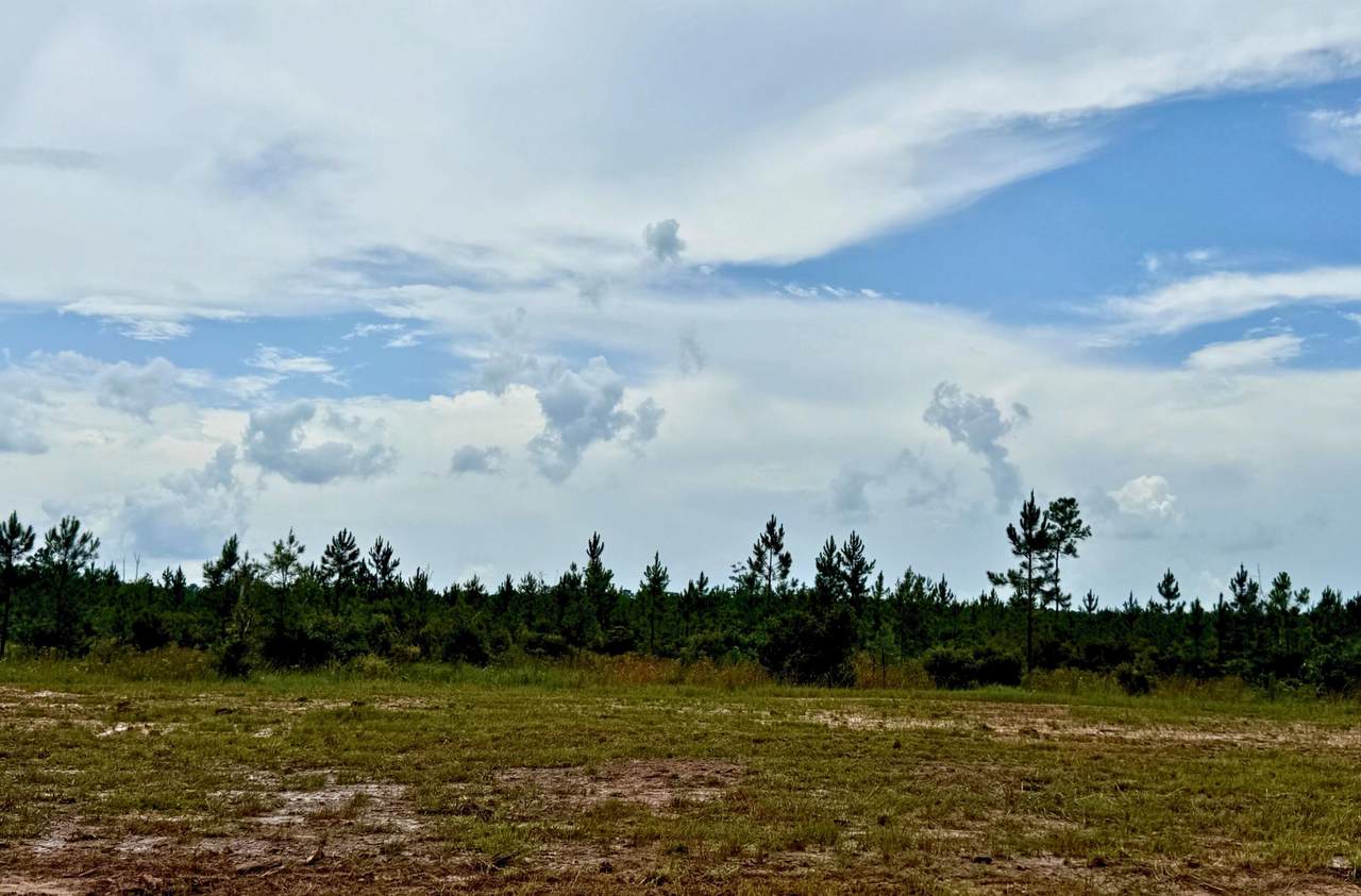 13110 Blackberry Dr - Photo 1