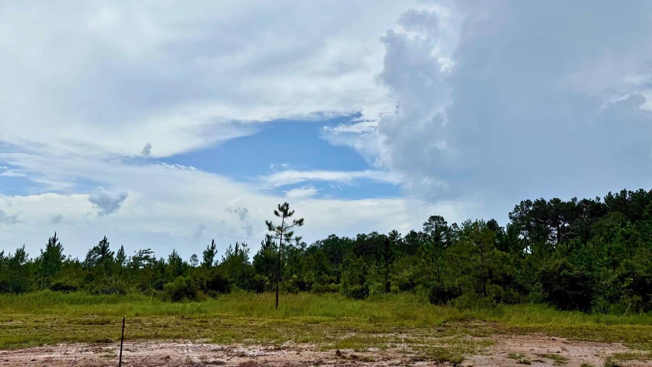 13135 Blackberry Dr - Photo 1