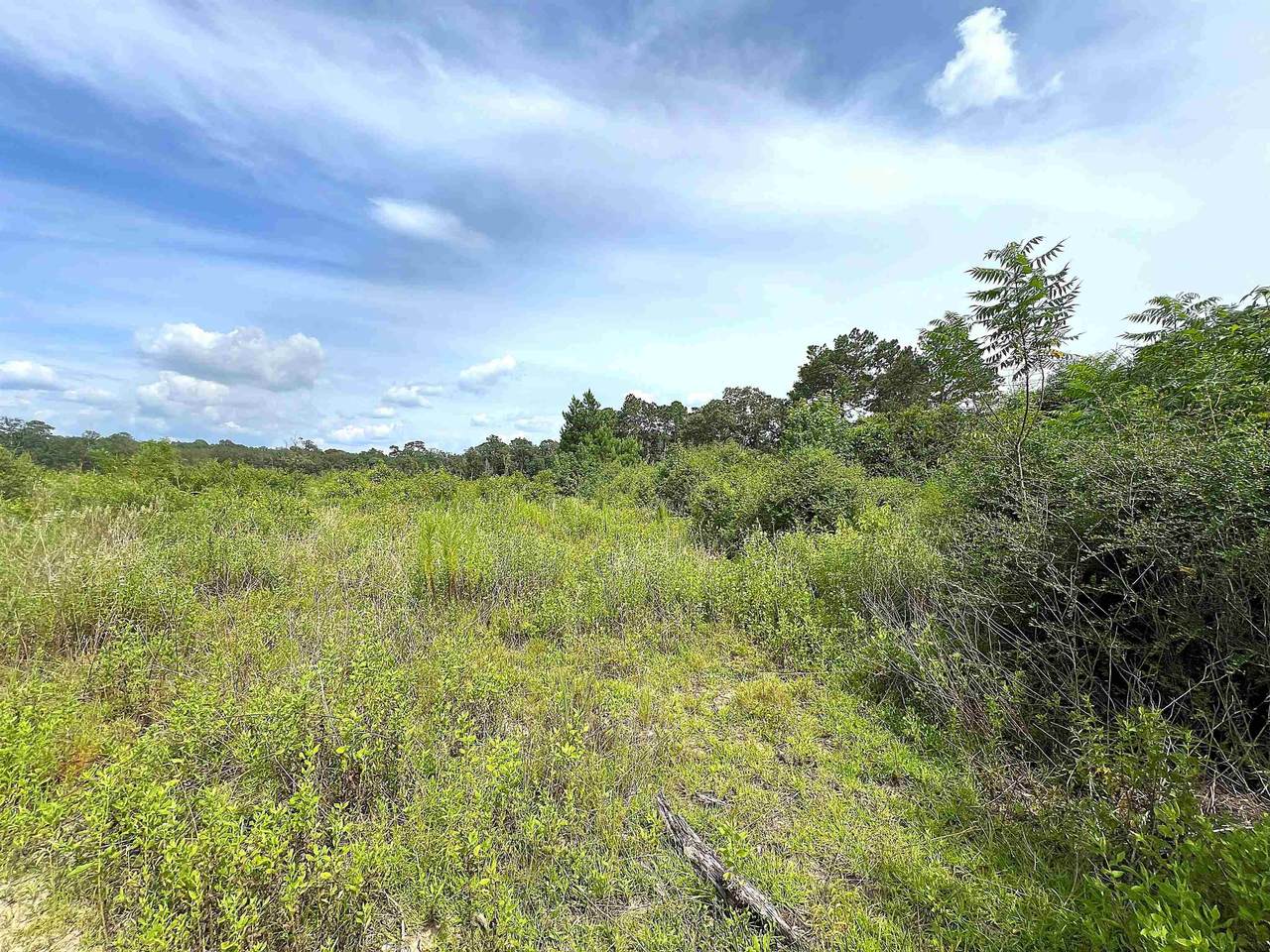 10215 Gentry Dr - Photo 1