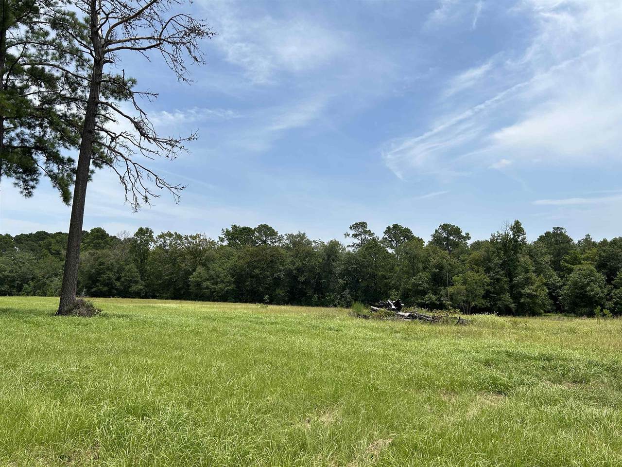 lot 378 East Madison Lake Rd - Photo 1