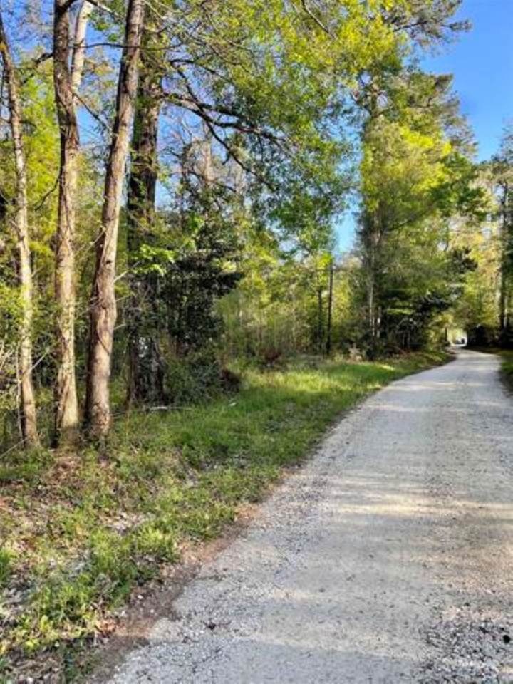 TBD County Road 4205 - Photo 1