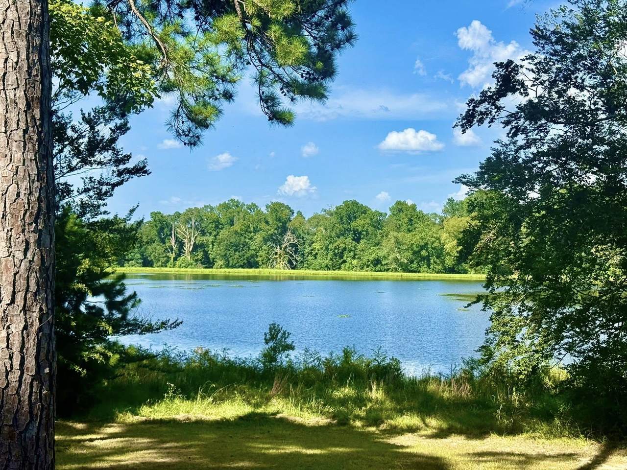 TBD Lakeland Ranch Lot 392,393 - Photo 1