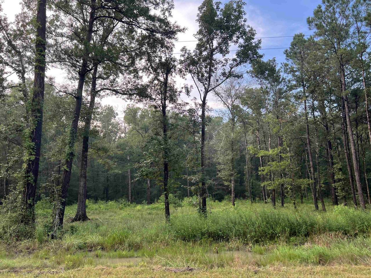 1715 Bobcat Circle - Photo 1