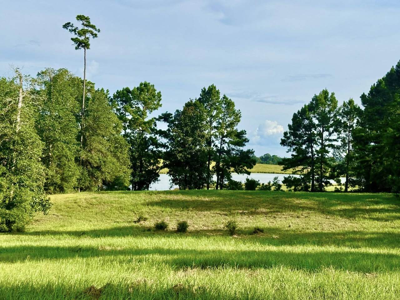 TBD Lakeland Ranch Lot 344 - Photo 1