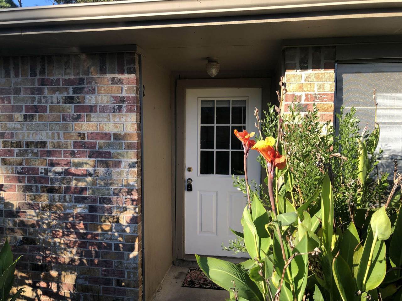 480 Blueberry - Photo 1