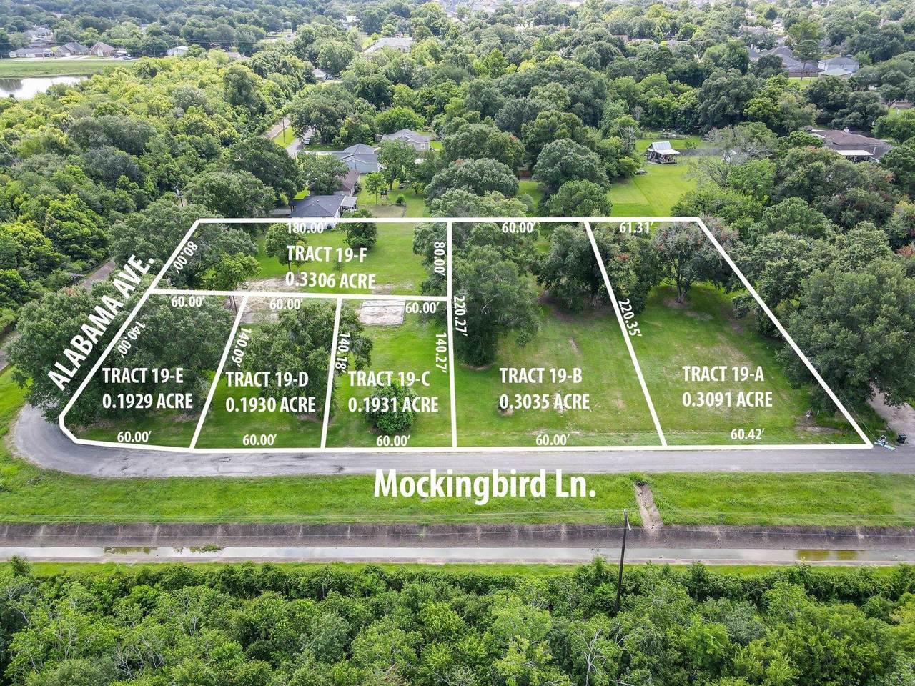 19D Mockingbird - Photo 1