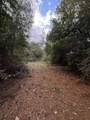 15121 Highway 87 - Photo 20