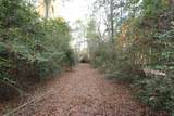 15121 Highway 87 - Photo 26