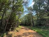 2955 County Road 441 - Photo 8